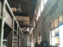 Picture18