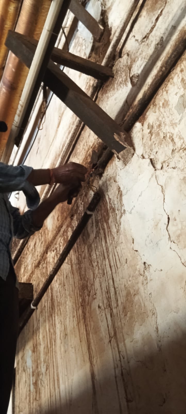 WhatsApp Image 2026-05-20 at 4.37.06 PM (2)